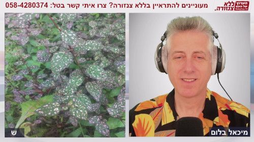 תהליך הגאולה - ש